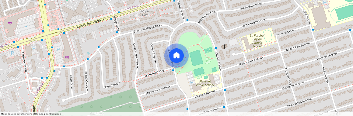 93 Peckham Avenue Unit# B1, Toronto