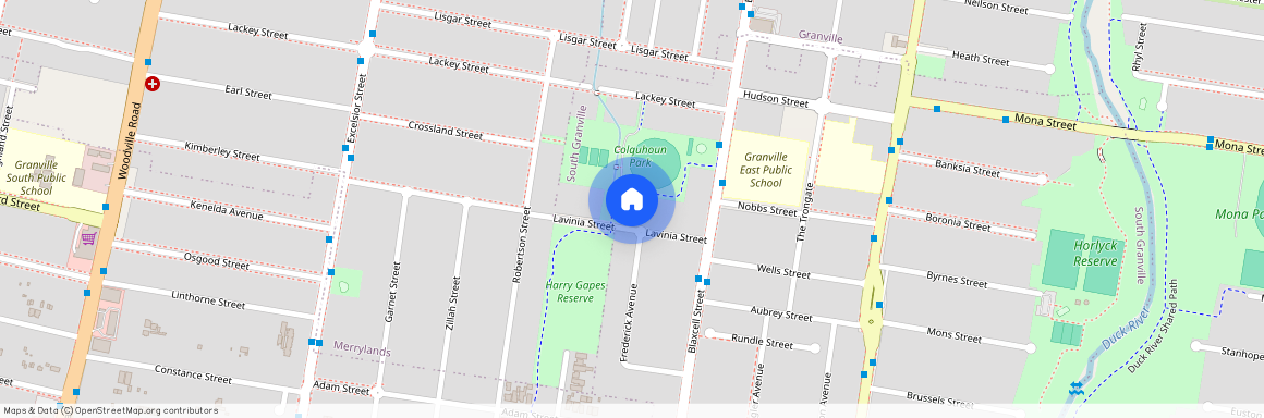 25 Lavinia St, NSW 2142, South Granville