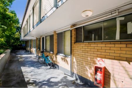 240 Carmody Rd, Brisbane - Photo 4