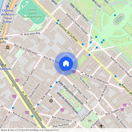 Rue de la Fédération, Francja, Paris