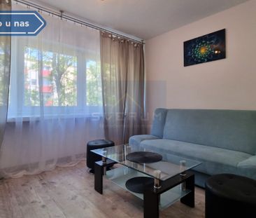 Mieszkanie na Wynajem, 47.00m - Фото 2