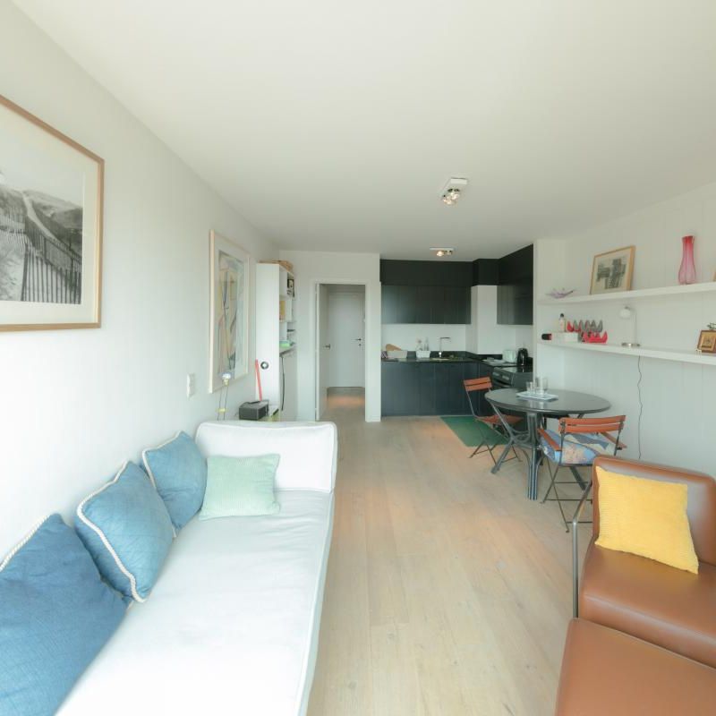 Lichtrijke gerenoveerde 1-slaapkamerappartement - uitstekend gelegen - Foto 1