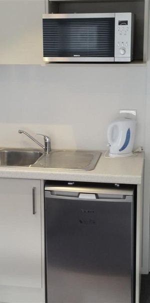 Fully Furnished Studio - Photo 1