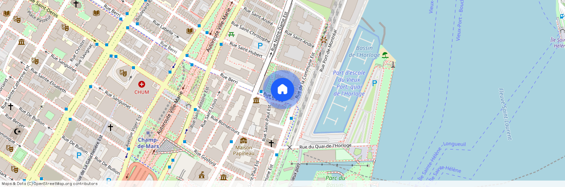 355 Rue Berri, app. 304, Montréal (Ville-Marie), H2Y4A1