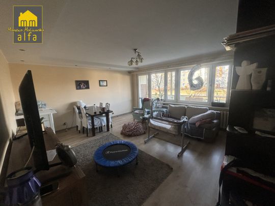 Mieszkanie na wynajem osiedle Lotnisko. - Photo 1