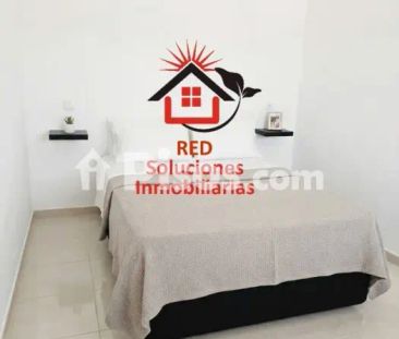 Finca rústica en alquiler en Arico El Nuevo - Photo 3