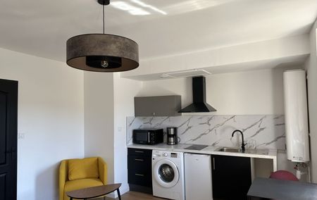 Location Appartement P1 rénové(e) Saint-etienne - Photo 3