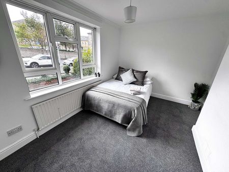 Energizing House Shareshare for Rent in Brighton Room 2 - Photo 4