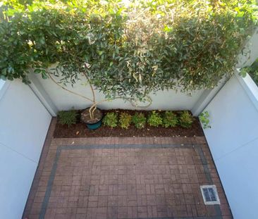 Grey Lynn, 2/8 Burgoyne Street - Photo 4