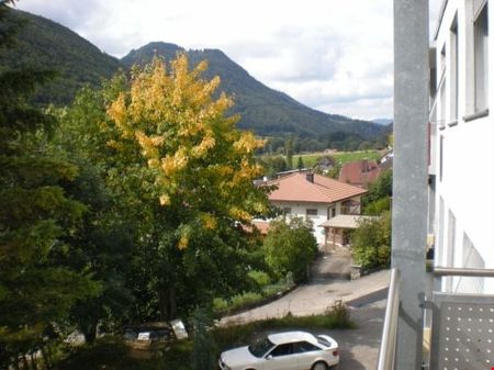 Appartement rénové et lumineux avec ** GRAND BALCON ** - Photo 4