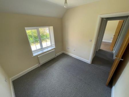 The Street - Photo 5