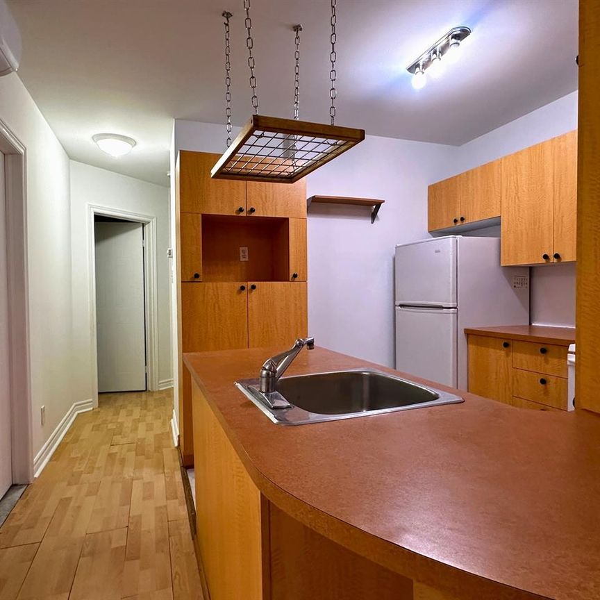 Appartement Montréal (Mercier/Hochelaga-Maisonneuve) À Louer - Photo 1