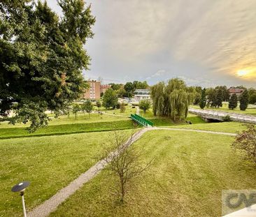 Mieszkanie Tychy Stare Tychy powierzchnia 20.0 m² C18-WM-45485 - Zdjęcie 6