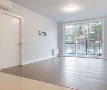 4925 Rue des Érables - Photo 1