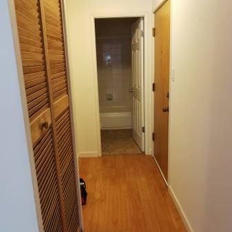 One big unit w/ 1ba & 1br on W12/Oak $1850/month - Photo 3