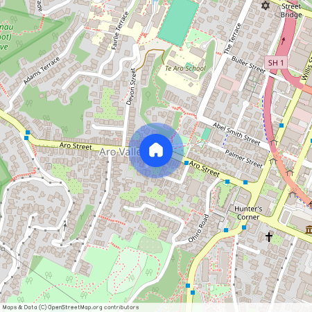 69 Aro Street, Aro Valley, Wellington City