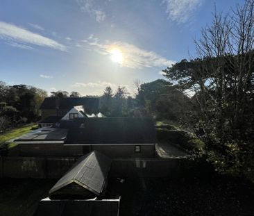 Beckmeadow Way - Photo 5