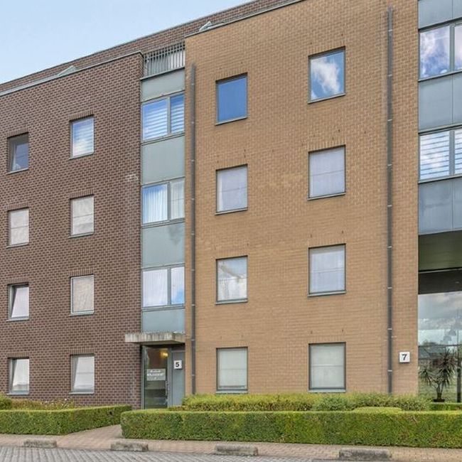 Appartement te huur in Aalter voor € 825 met 2 slaapkamers - Photo 1