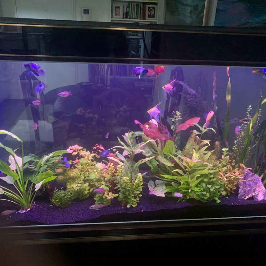 East Perth - Photo 1