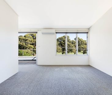 35 Clubb Street, Rozelle NSW 2039 - House For Rent | Domain - Photo 2