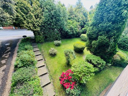 Wimborne Road, Bournemouth - Photo 5