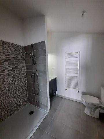 Location Appartement 1 pièce 32m² ROQUES 31120 - Photo 4