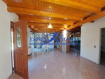 Μονοκατοικία για ενοικίαση Άγιος Παντελεήμονας (Μαραθώνας) - Photo 5