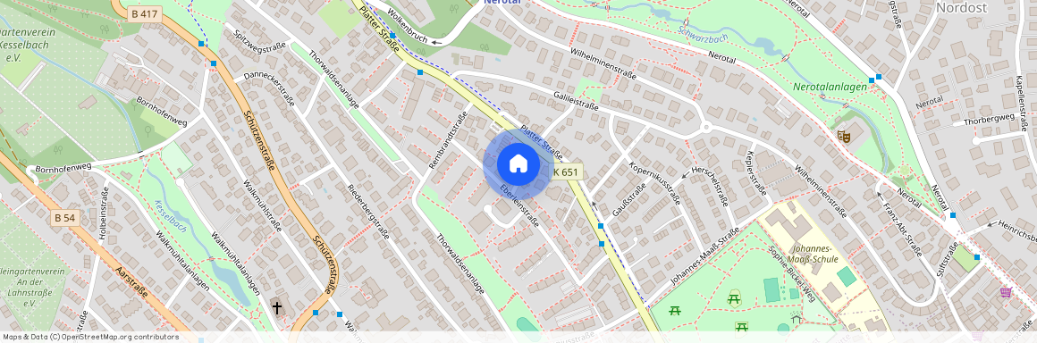 Schongauerstraße 3, 65195 Wiesbaden