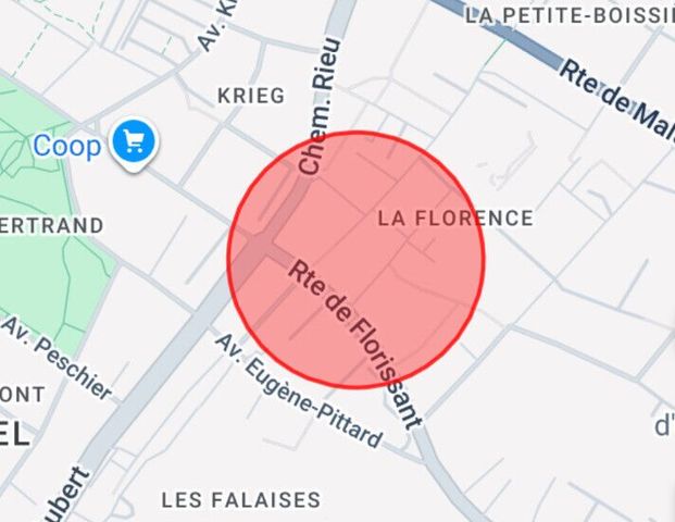 Beautiful 4P with balcony – Champel / Florissant area - Photo 1