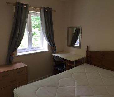 3 bedroom house share to rent - Photo 4