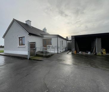 House to rent in Moaty, County Galway - Photo 4