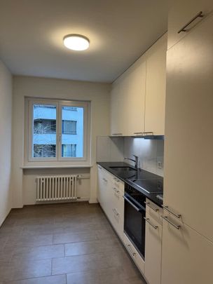 2 Zimmer, 55 m², EG - Foto 1
