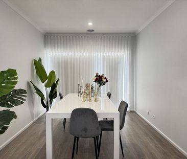 Spacious Family Living in Junction Village - Photo 6