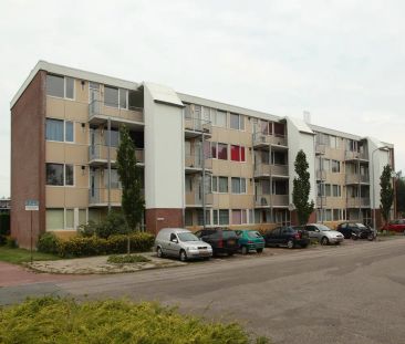 Appartement Buitenhovelaan 303, Middelburg - À louer - Photo 1