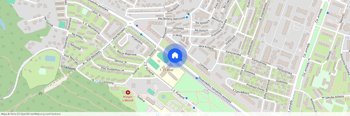 Slovenského národního povstání, Most