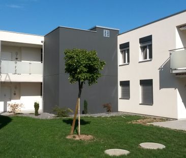 Wohnung - Foto 3