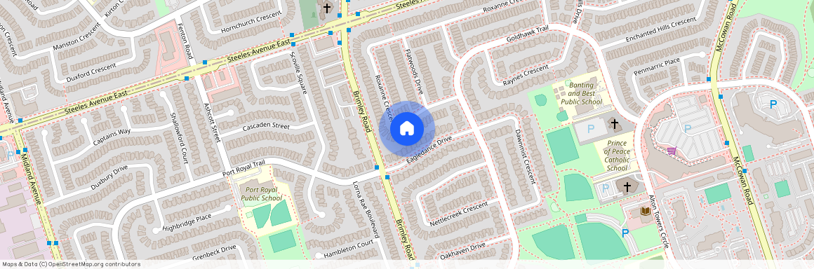 29 Roxanne Crescent, Toronto