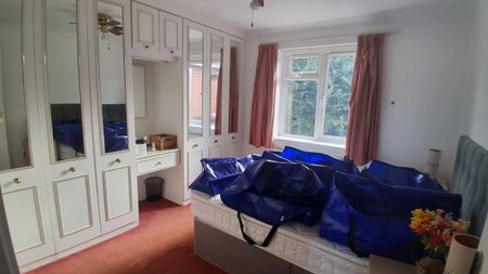 Wake Road, March - Photo 4