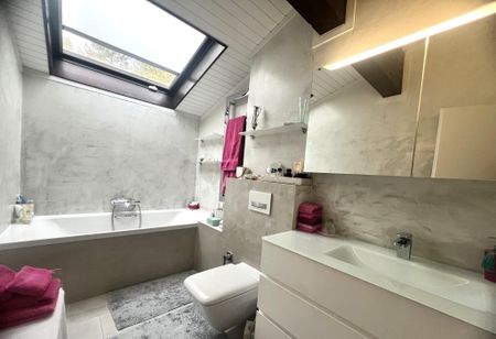 Propriété meublée avec magnifique vue sur le lac, les Alpes et le Mont-Blanc - Photo 3