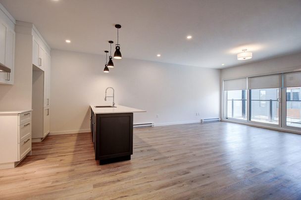 5513, boul. René-Lévesque #303, Sherbrooke (Rock Forest | St-Élie) - Photo 1