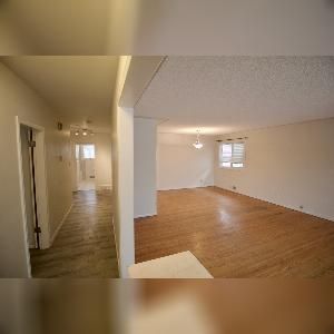 Forest Heights 3 Bed 1 Bath Upper Suite Edmonton - Photo 1