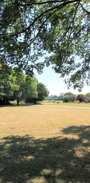 2 bedroom detached bungalow to rent - Photo 2