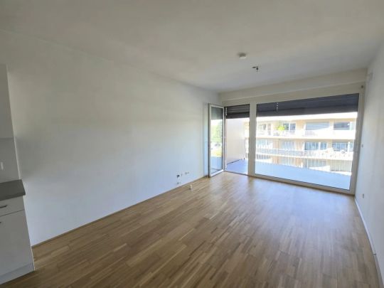 STRASSGANGER Straße 380c : 2 Zimmer- Wohnung mit großem Balkon - Straßganger Straße 380 c - Top 24c - Photo 1