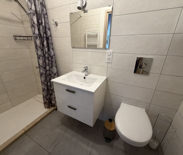 Location Appartement 1 pièce 24m² ST PAUL DE VARAX 01240 - Photo 2