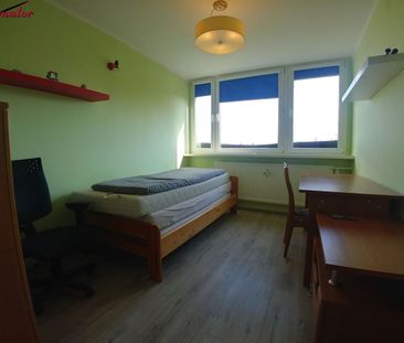 DOLNOŚLĄSKIE, Legnica - Photo 4