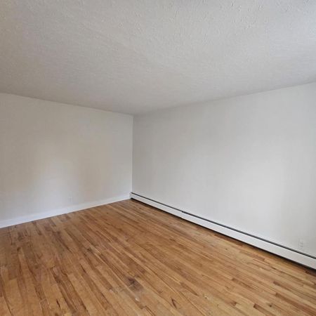 grand 5 1/2 lumineux, chauffé avec stationnement limoilou - Photo 3