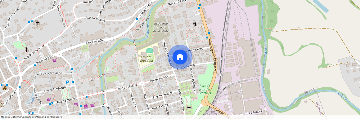 2800, Delémont, Rue De La Paix, 3