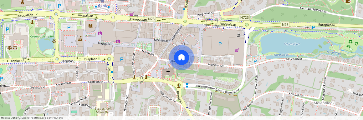 Molenstraat 37 / 23, 3600 Genk