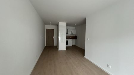 Location Appartement 2 pièces 45m² - Photo 3