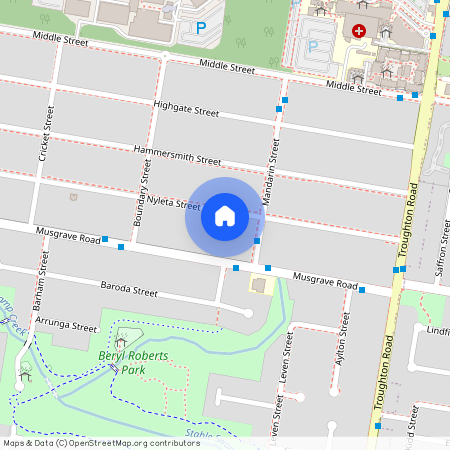 113 Nyleta St, Qld 4108, Coopers Plains